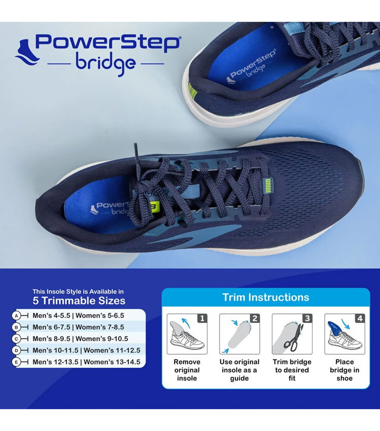 5500 PowerStep Bridge